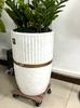 Square Plant Caddy