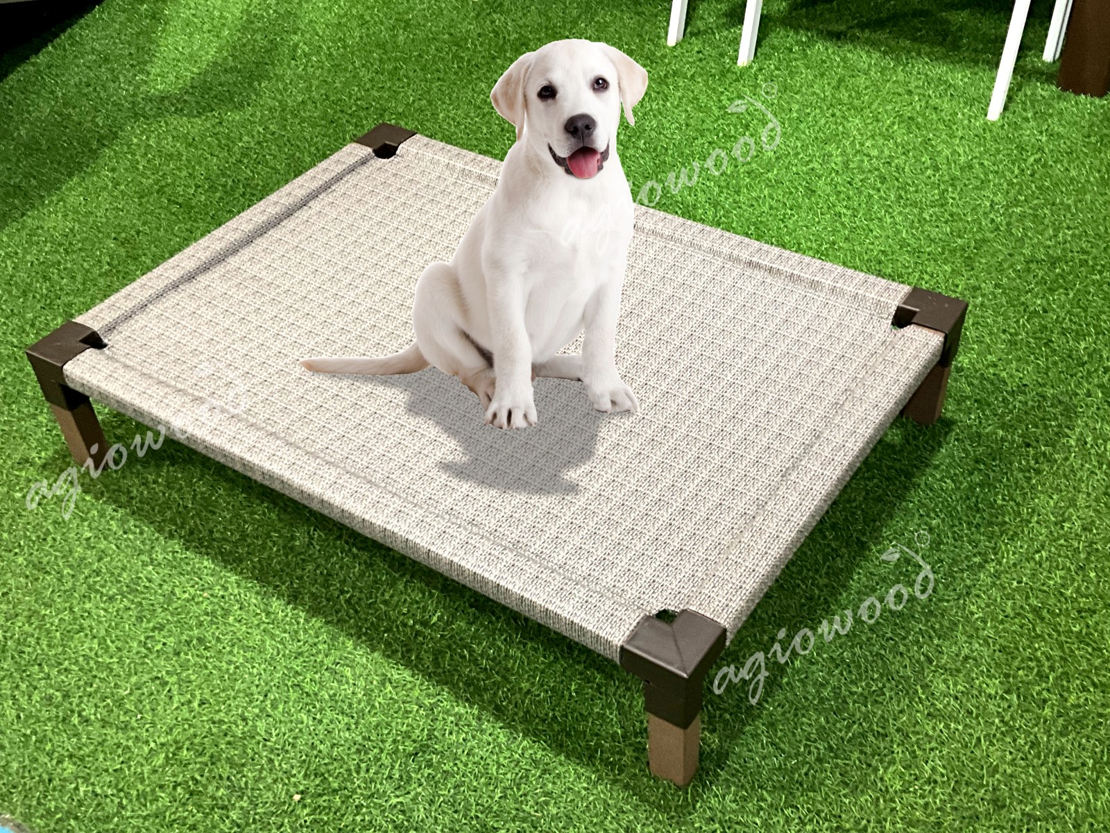 Elevated dog bed 3