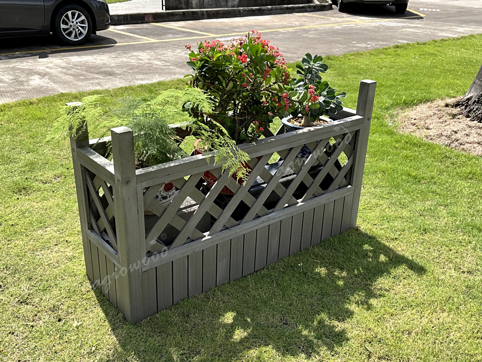 Lattice Planter 8